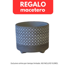 Cargar imagen en el visor de la galería, 1 - Compra 5 o más productos y AÑADE después esta ficha de 1 macetero = 0€
