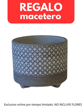 1 - Compra 5 o más productos y AÑADE después esta ficha de 1 macetero = 0€