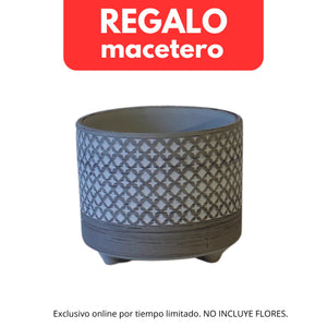 1 - Compra 5 o más productos y AÑADE después esta ficha de 1 macetero = 0€