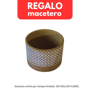 1 - Compra 5 o más productos y AÑADE después esta ficha de 1 macetero = 0€