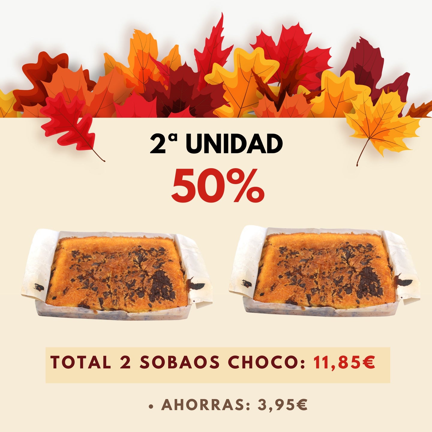 1 A- Sobao Pasiego XL Pepitas Chocolate - 480 gr